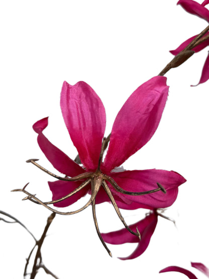 Gloriosa pink gold 100 cm 1 Stück