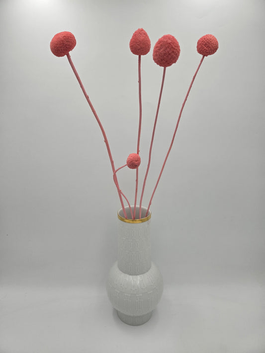 Craspedia rosa 5er